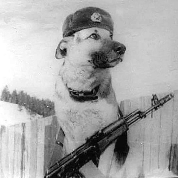 restlessbogatyr